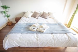 Main Bed in Living Area in Type D