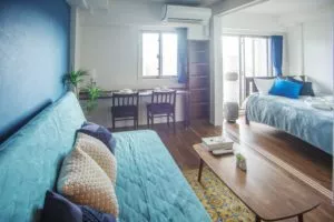 Sofa Bed and Living Area